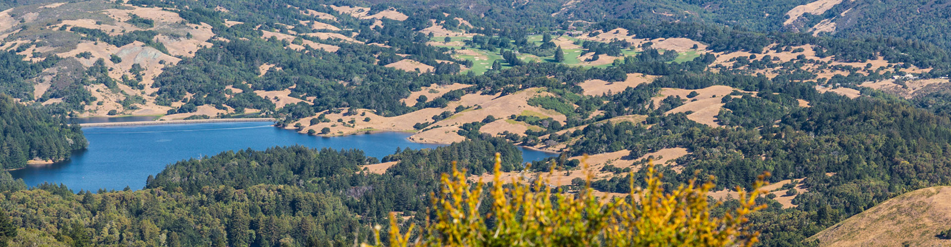 Aerial view of the Meadow Club and Lake Lagunitas