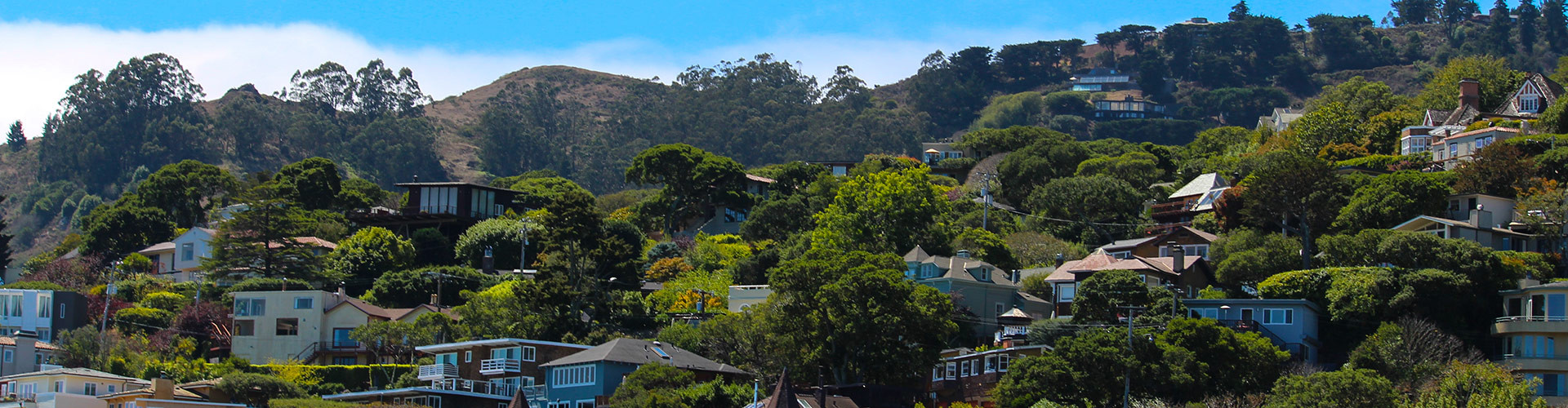 Sausalito hillside with homes