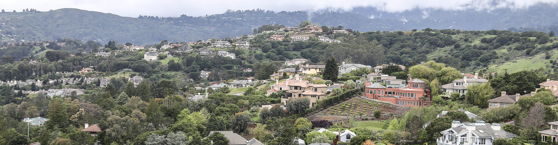 Aerial view of Tiburon, CA